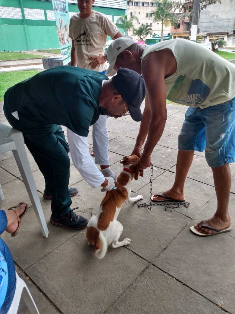 Camacã: Prefeitura realizou vacinação contra a raiva em cães e gatos